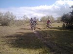 IMG317-2.jpg