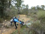 P1040712 (Copiar).JPG
