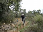 P1040717 (Copiar).JPG
