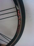 IMG_20120502_185304.jpg