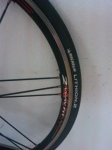 IMG_20120502_185337.jpg