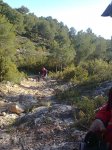 Imagen0993.jpg