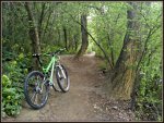 bici  (Copiar).jpg