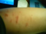 IMAG0822.JPG