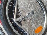 2012-05-02 07.52.54.jpg