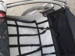 2012-05-02 07.56.52.jpg