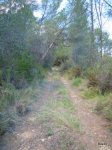 DSCN1655.JPG