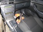 IMG_2499c.jpg