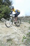 _COL9348.jpg