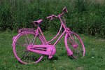 La bici Rosa.jpg