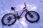 IMAG0085.jpg