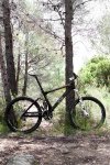 scott_019.jpg