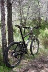 scott_034.jpg
