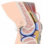 rodilla.jpg