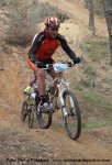 IMG_5978g.jpg