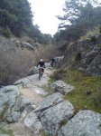 DSC01011.jpg