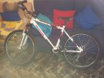 20120503_1917072.jpg