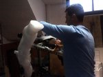 IMG-20120503-00301.JPG