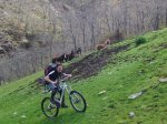 DSC04679.JPG
