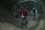 Transmaresme 2012.jpg