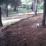 IMG00066-20120502-1834.jpg