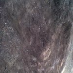 IMG00067-20120502-1835.jpg