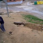 IMG00068-20120504-1632.jpg
