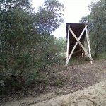 IMG00069-20120504-1651.jpg
