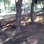 IMG00070-20120504-1755.jpg