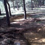 IMG00071-20120504-1755.jpg