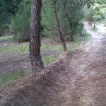IMG00073-20120504-1805.jpg