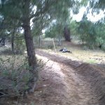 IMG00075-20120504-1805.jpg