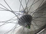 IMG_20120504_185651.jpg