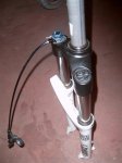 SUC32703 (Medium).JPG