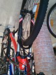 bici.jpg
