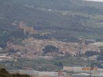 P5050083 [cres].JPG