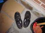 IMG_9619.JPG