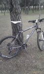 IMAG0906_modif.jpg