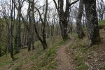 DSC01839.JPG