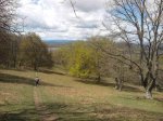 resized_Foto0129.jpg