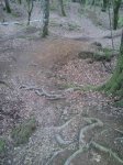 resized_Foto0120.jpg