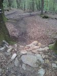 resized_Foto0123.jpg