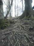 resized_Foto0130.jpg