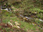 IMG_3389.JPG