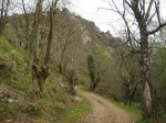 IMG_3390.JPG
