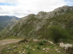 IMG_3398.JPG
