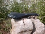 slr xp.jpg