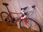 DSC00269.jpg