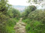 20120506_105225_800x600.jpg