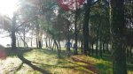 DSCN4823.jpg
